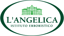 LogoAngelica