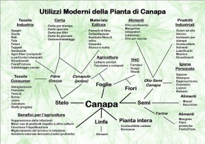 Canapa-utilizzi