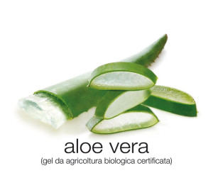 aloe-vera-da-agricoltura-biologica-certificata-big