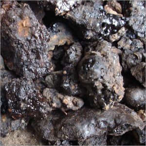 Shilajit1_1