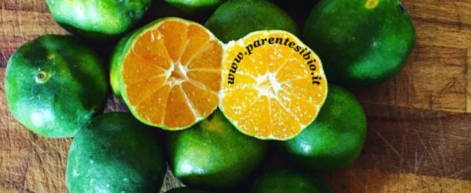 Miyagawa il lime dei mandarini