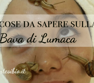 7 cose da sapere sulla bava di lumaca