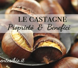 Proprietà delle Castagne